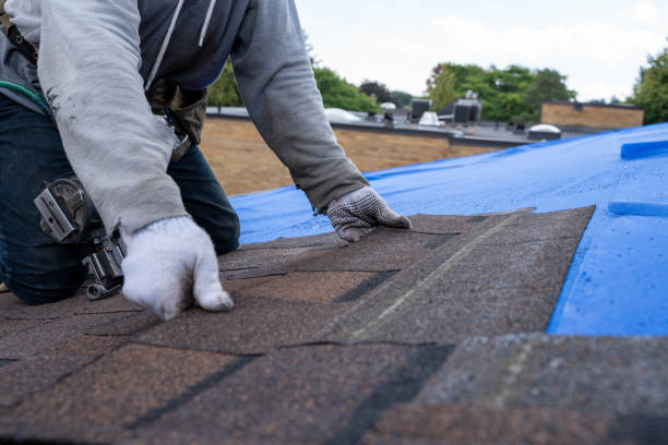 Best Sealant for Roof  in Johnson City, NY