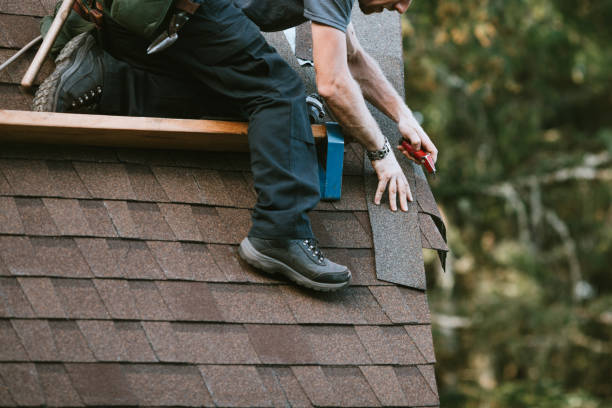 Best Slate Roofing Contractor  in Johnson City, NY